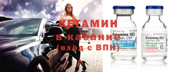 прущие грибы Новодвинск