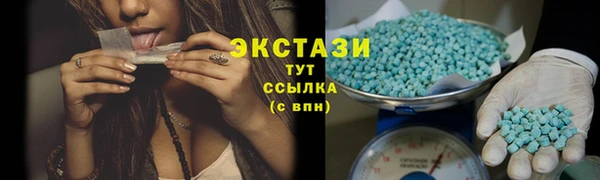 прущие грибы Новодвинск