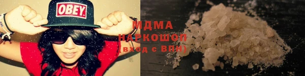 прущие грибы Новодвинск