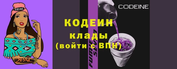 прущие грибы Новодвинск