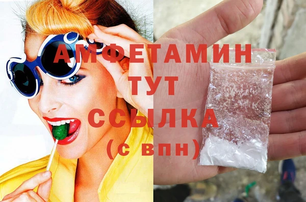прущие грибы Новодвинск
