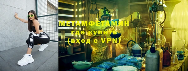 прущие грибы Новодвинск