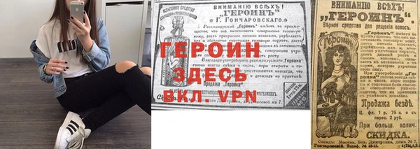 прущие грибы Новодвинск