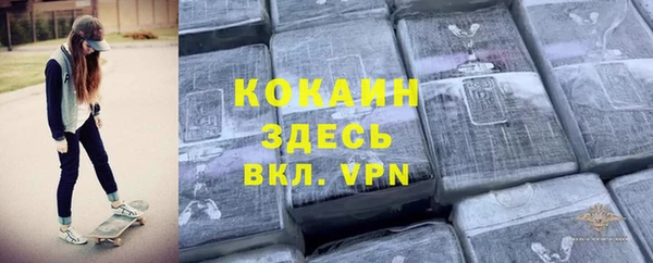 прущие грибы Новодвинск