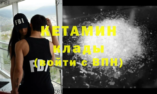 прущие грибы Новодвинск
