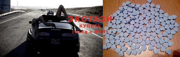 прущие грибы Новодвинск